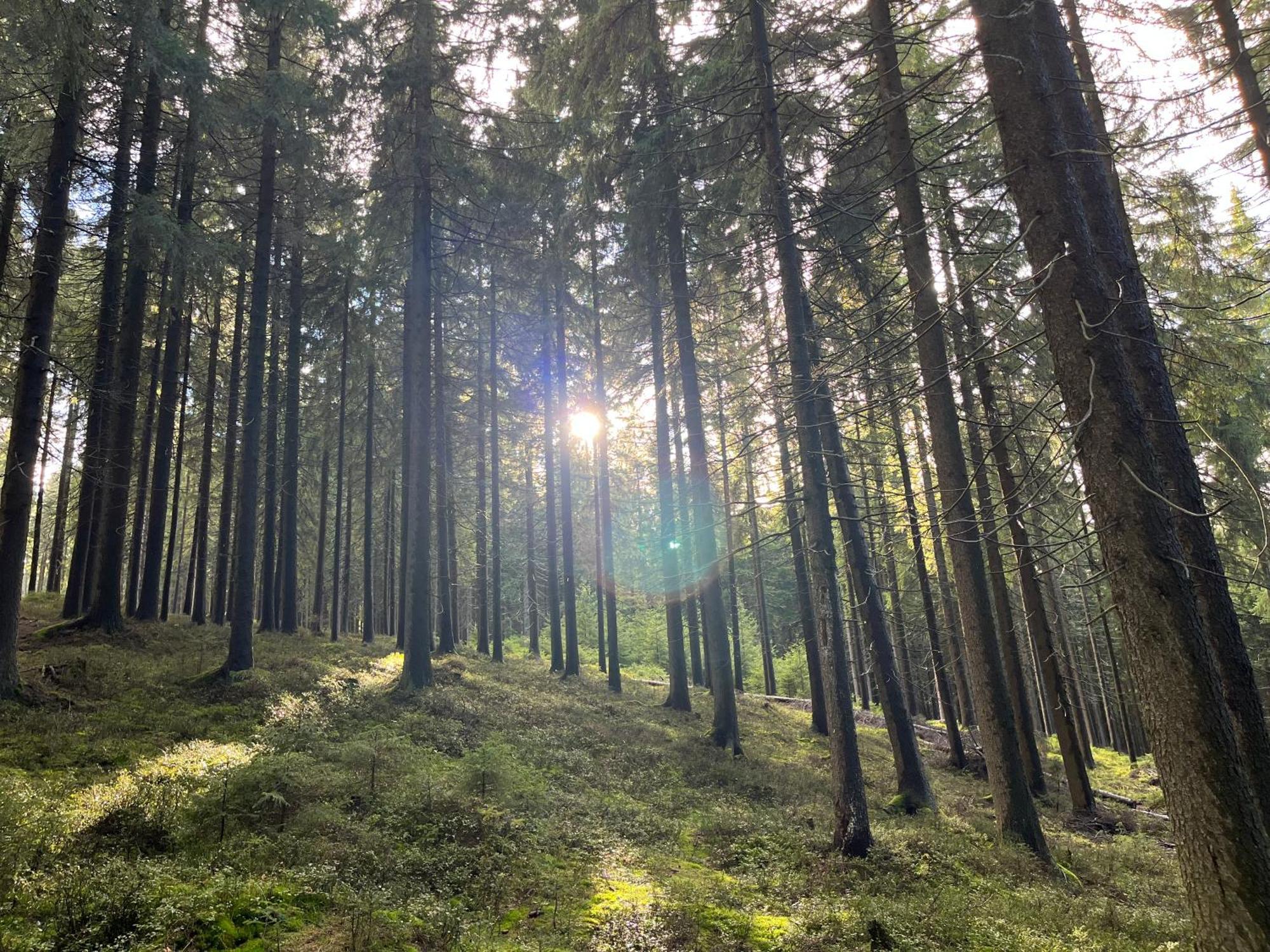 Roubenky Hrebecna Villa Buitenkant foto